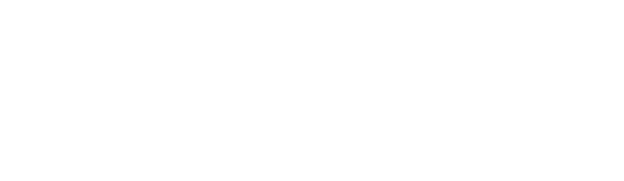 Stiftung Schweizer Sporthilfe